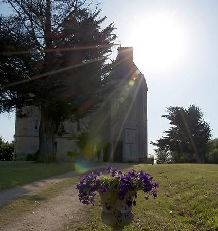 Chateau Fauchey Bed and Breakfast Cadillac Exterior foto