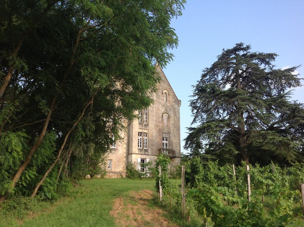 Chateau Fauchey Bed and Breakfast Cadillac Exterior foto