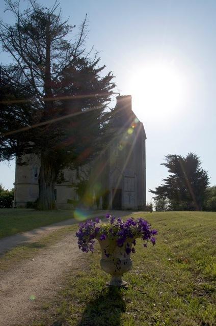 Chateau Fauchey Bed and Breakfast Cadillac Exterior foto